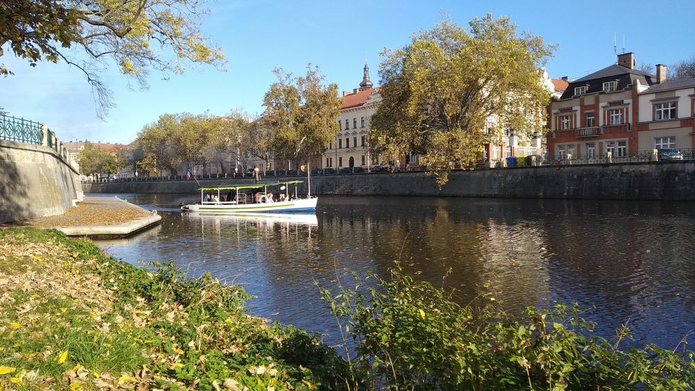 Co mě potkalo v roce 2019