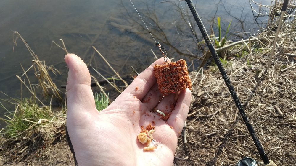 Feeder za časů cholery
