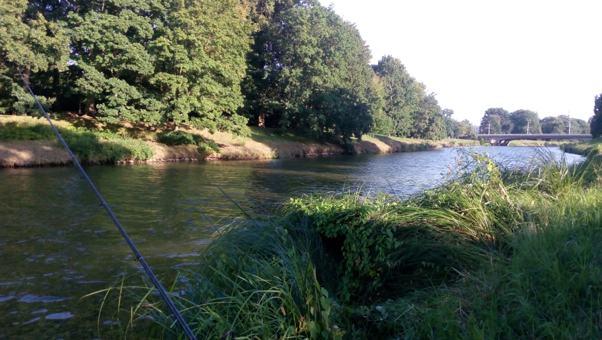 Rybařina po kanadsku